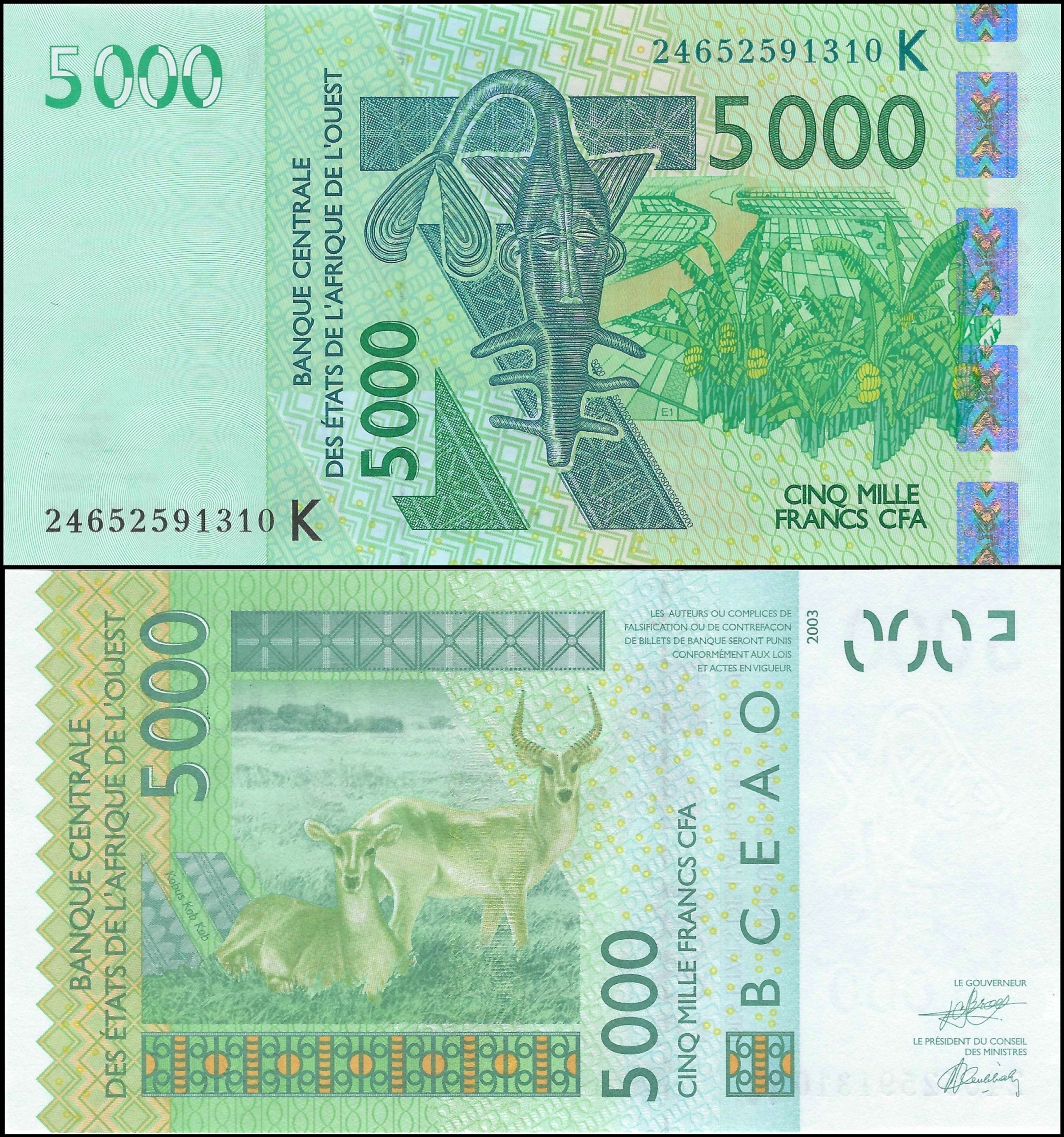 * SENEGAL AFRYKA ZACHODNIA 5000 franków CFA 2024 P-717 * stan UNC *
